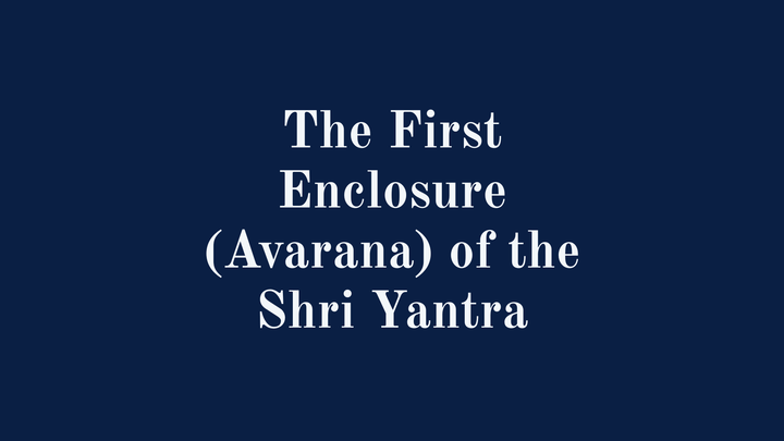 The First Enclosure (Avarana) of the Shri Yantra